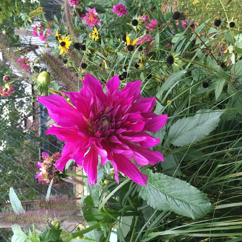 Projekt 07 - Foto 01