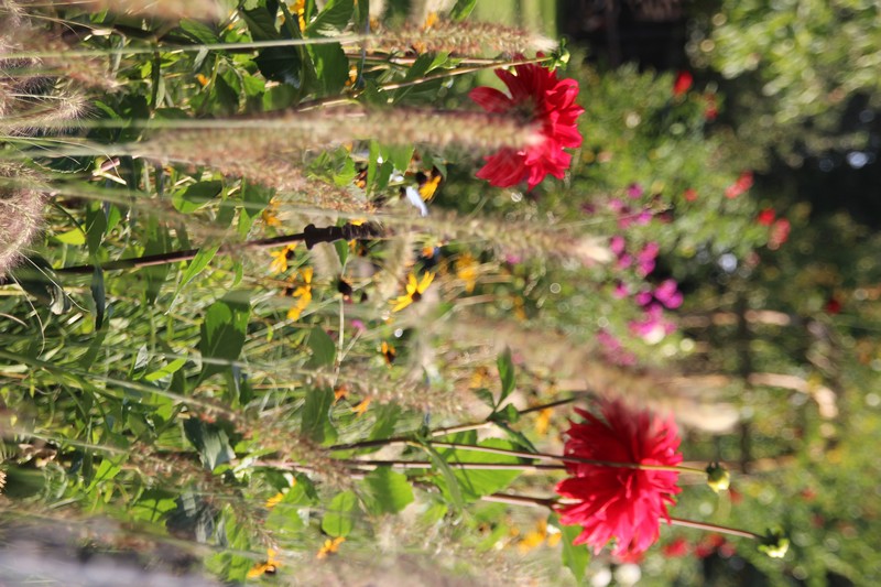 Projekt 07 - Foto 06