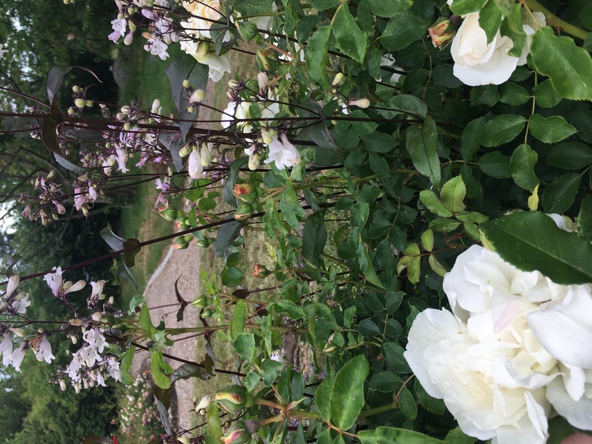 Projekt 08 - Foto 06